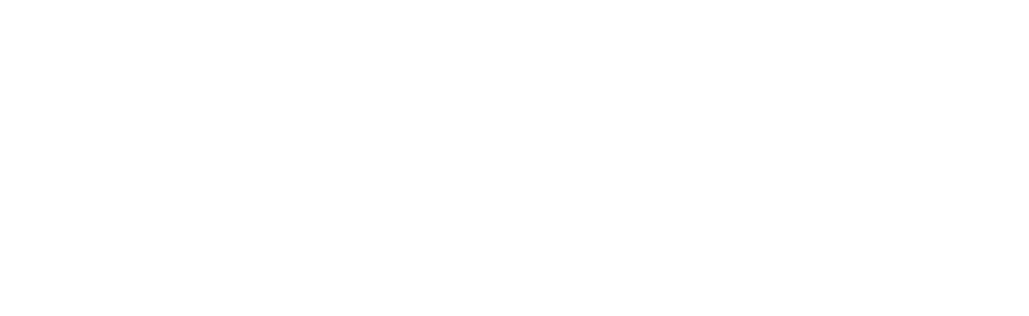 Logo - LifeFlight - New Logo Reversed