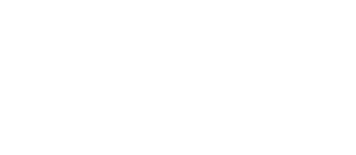 Channel Partners MSP501 Award Winner Logo - Mono
