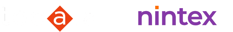Logo Lockup - Tecala x Nintex v3