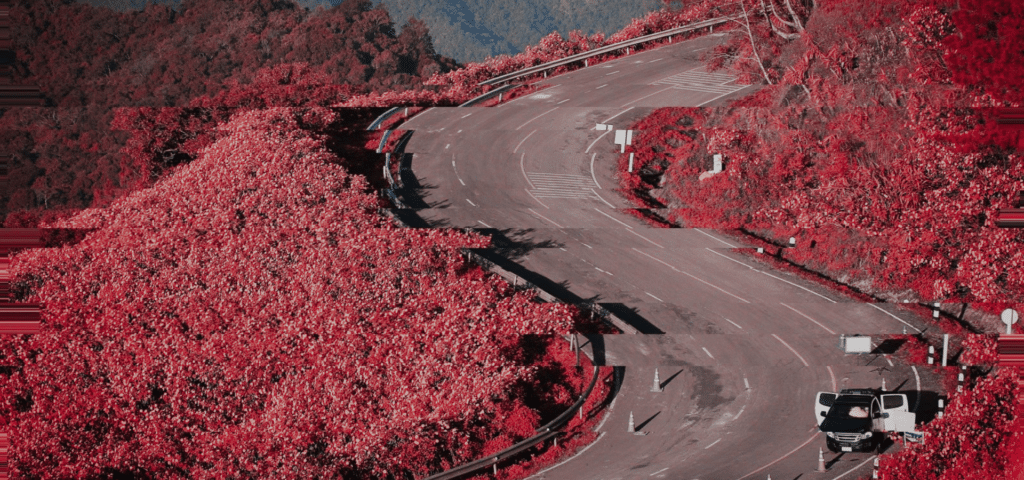 technology-roadmap-delivery (1)